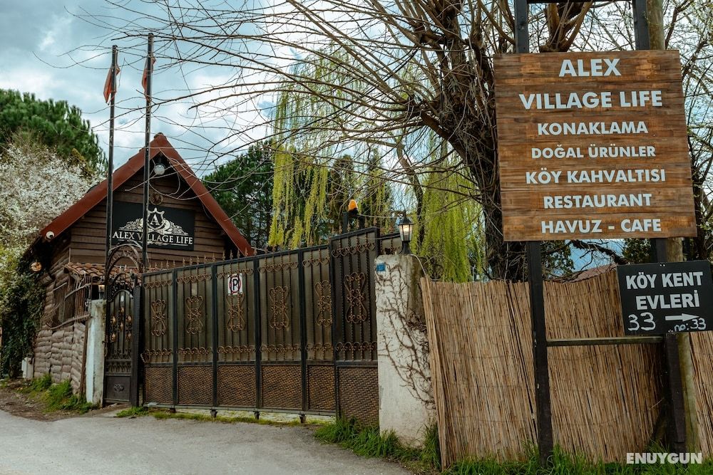 Aileler İçin Tatil Rehberi: Alex Village’a Göz Atın